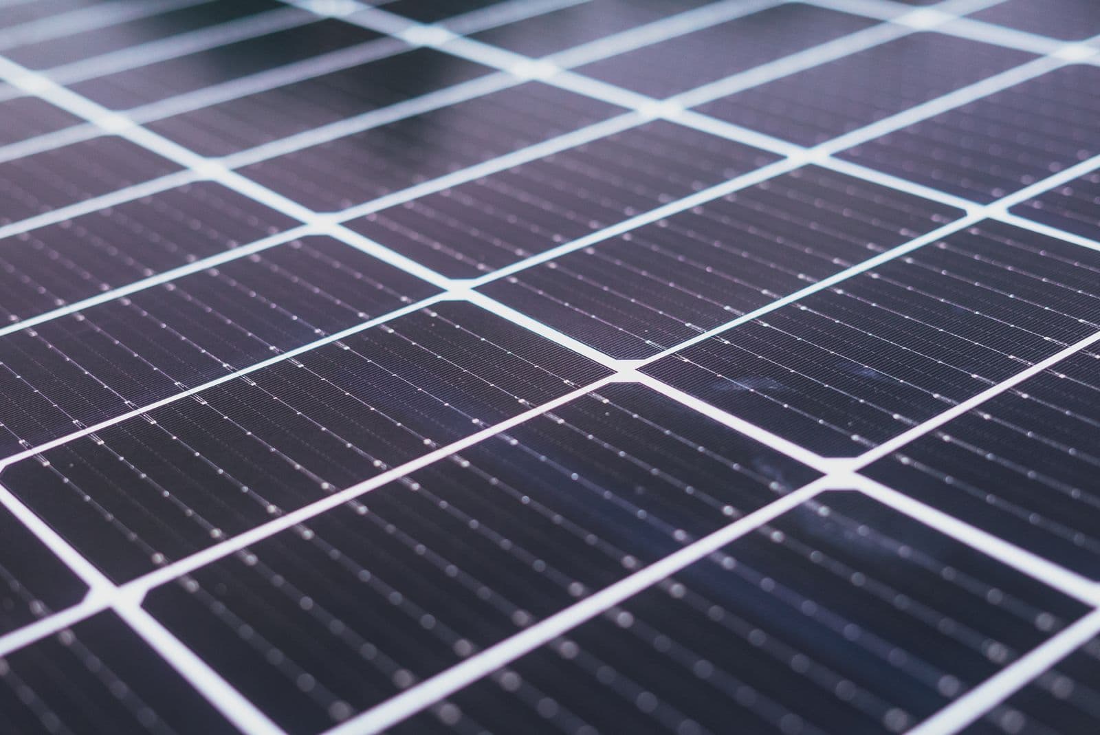 Modules photovoltaïques bleus alignés sous le soleil